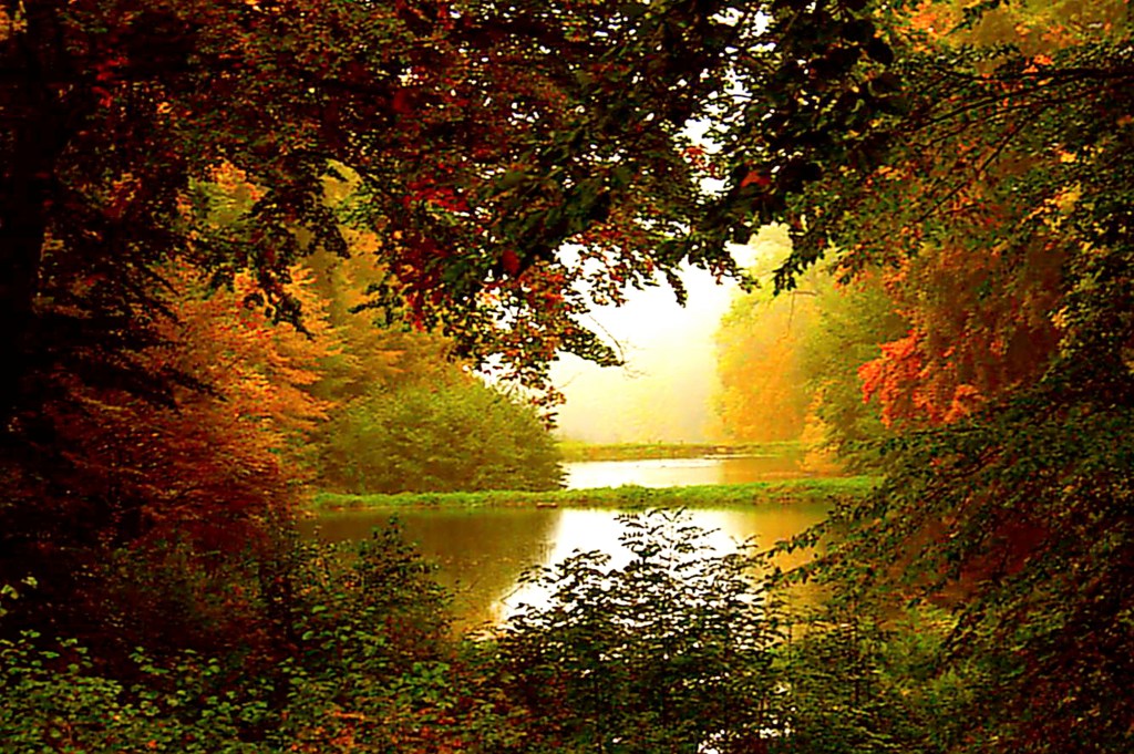 EINE EMOTIONALE BEGEGNUNG MIT DER NATUR, GESCHICHTEN, MUSIK,&nbsp;BILDERN