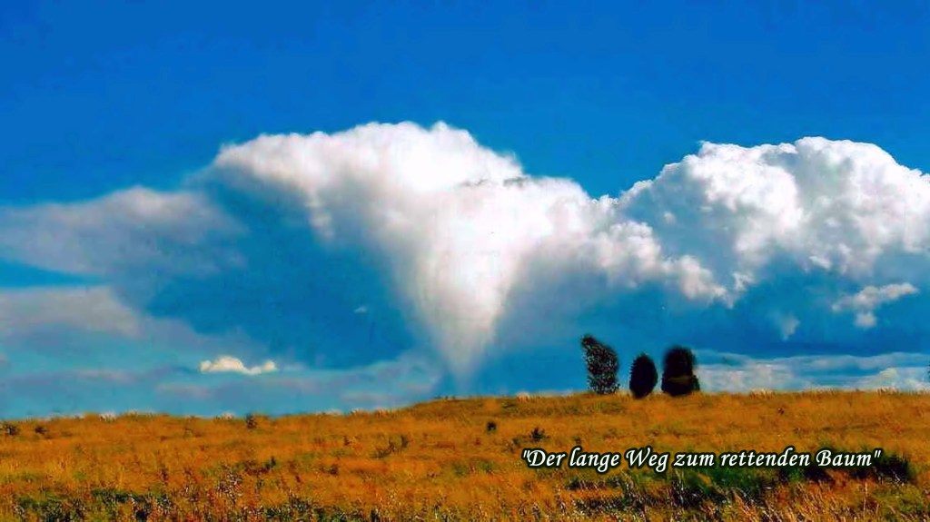 Der lange Weg zum rettenden&nbsp;Baum