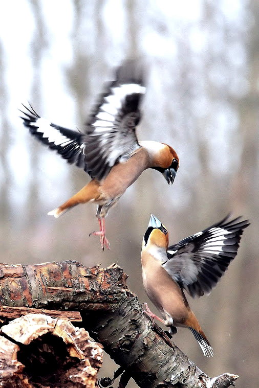 Der entscheidende Unterschied
