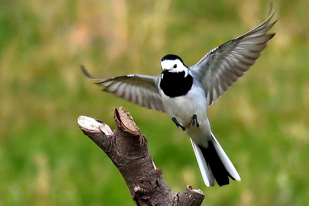 Wenn es lenzt&nbsp;…