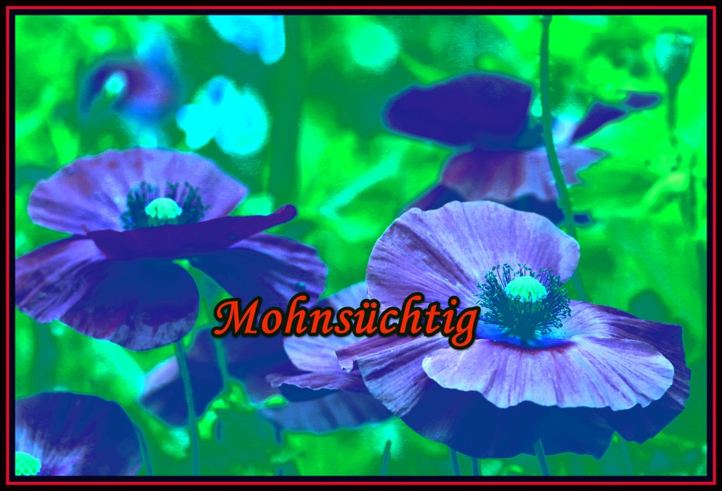 Mohnsüchtig