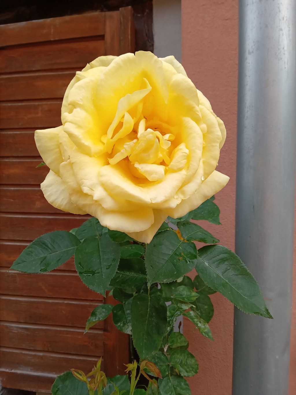 Wohin geht es? Der Untergang eines&nbsp;Systems.