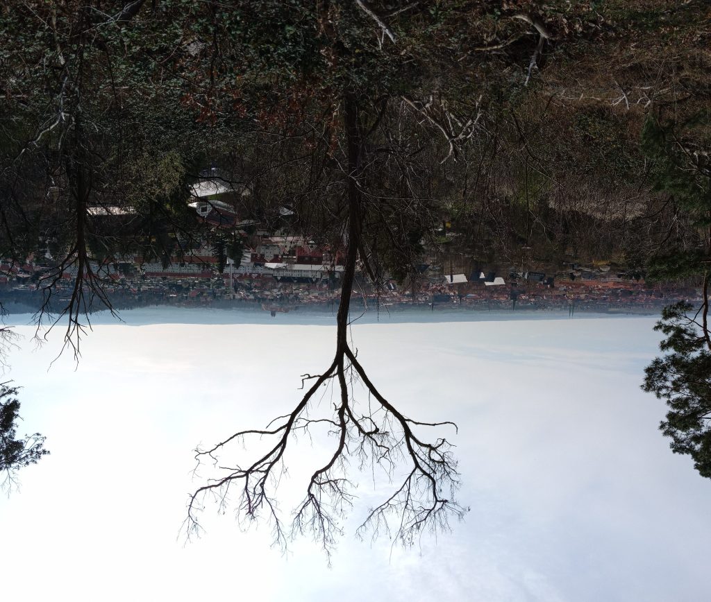 „Verdrehte Welt?“