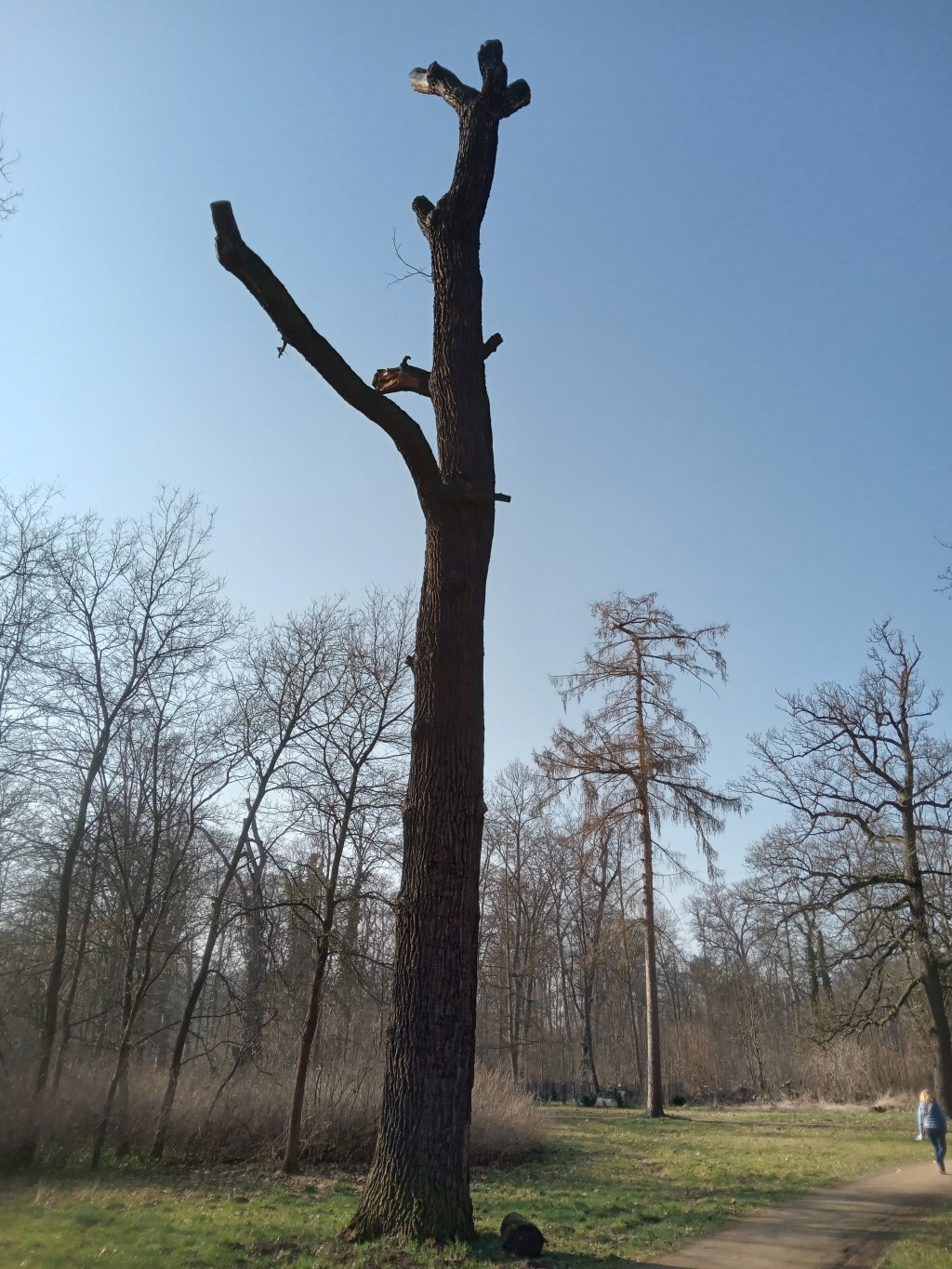 LESEREIHE 2025 – LOKALE&nbsp;LESUNG